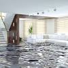 If it is condensation as you say, it is not coming through the floor. 1