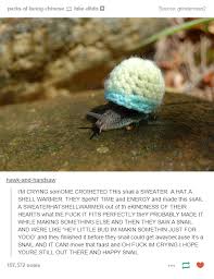 When This Little Snail Wore A Little Jumper Cute Funny Animals Funny Cute Memes