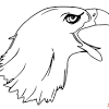Explore our downloadable eagle coloring pictures stock. 1