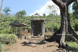 Check spelling or type a new query. Kebun Teh Jamus Jamus Garden Tea Ngawi Regency East Ja Flickr