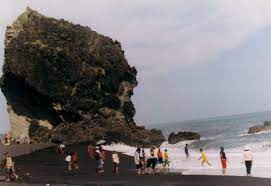 Tidak usah bingung mencari wisata pantai di lumajang yang direkomendasikan untuk anda, karena kami akan mengulas secara singkat pantai yang ada di. Pantai Watu Pecak Wisata Bahari Yang Memukau Di Lumajang Tempat Me