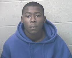 Kalamazoo teen to spend at least 20 years in prison for murder of Martin  Schau, 48