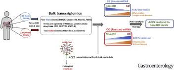Altered Intestinal Ace2 Levels Are Associated With Inflammation Severe Disease And Response To Anti Cytokine Therapy In Inflammatory Bowel Disease Gastroenterology X Mol