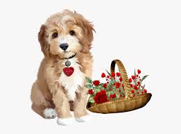 Check spelling or type a new query. Tube Dog And Flowers Png Watercolor Painting Of Puppies Transparent Png Kindpng