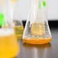 Kids Day of Science