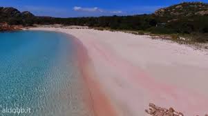 Appena doppiata la punta di budelli però tutto cambia e alla spiaggia dei cavalieri l'acqua è calma e turchese. Spiaggia Rosa Di Budelli Vista Dal Drone Video Sardegna 2021
