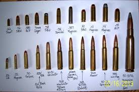 22 Symbolic Rifle Calibers By Size Chart