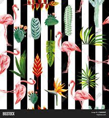 Tons of awesome cactus jack wallpapers to download for free. Systematic Ordered Image Photo Free Trial Bigstock