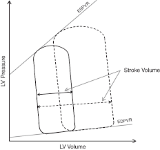History and etymology for starling's law. Frank Starling Law As Observed On A Typical Pressure Volume Loop Solid Download Scientific Diagram