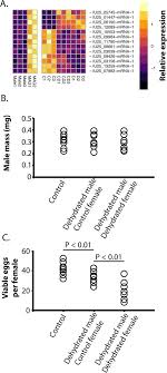 Apartments can be challenging when it comes to controlling pests such as rodents, ants, roaches, and bed bugs. Multi Level Analysis Of Reproduction In The Antarctic Midge Belgica Antarctica Identifies Female And Male Accessory Gland Products That Are Altered By Larval Stress And Impact Progeny Viability Biorxiv