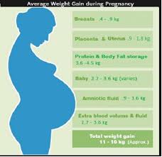 how much weight should i gain during pregnancy goldie