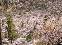 Check out our downburst selection for the very best in unique or custom, handmade pieces from our shops. Montana Microburst Powerful Downward Wind Blast Knocks Down Trees Like A Comet Impact Photos