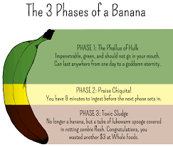 Stages Of A Banana Posted In The Funnycharts Community