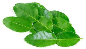 We did not find results for: Sewdollswhatsnext Cara Membuat Obat Perangsang Wanita Alami Dengan Daun Jeruk