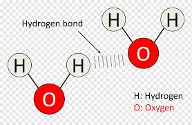 We did not find results for: Diagram Hydrogen Bond Molecule Water Chemical Bond Oxygen Bubble Angle Text Logo Png Pngwing