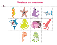 Vertebrates And Invertebrates Worksheets Classifying Animals