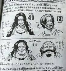 one piece エース おしゃれまとめの人気アイデア pinterest angi dreambook ルナミ グラフィティアーティスト ワンピース 扉絵