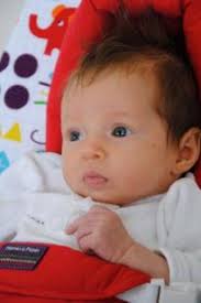 Prynwch eich copi o Tafod Elái £8 am y flwyddyn Tafod Elái Ar gael drwy  e-bost £8 am y flwyddyn