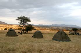 Learn about nature conservation in tanzania, including environmental issues and resources from the nature conservancy. Nature Camping In Tanzania I Dream Of Africa