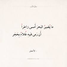 شعر الأخطل ما يضير البحر أمسى زاخرا عالم الأدب Beautiful Words Arabic Quotes Quotes