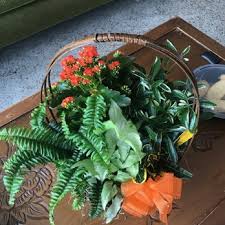 Check out 464 verified apartments for rent in west fargo, nd with rents starting as low as $400. Classic Floral 17 Photos Party Supplies 29 Sheyenne St West Fargo Nd Phone Number Yelp