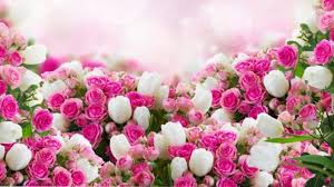 Бажаю вашій дівчинці добрих чудес і яскравих променів радості в житті, світлого щастя і величезною удачі. Z Dnem Narodzhennya Donechka Krasivi Privitannya Vid Mami I Tata Budinok Brovarnya Rivne Najaktualnisha Informaciya Z Usogo Svitu