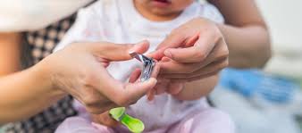 What kind of scissors do you use to cut toenails? The Best Baby Nail Clippers Of 2020 Pampers