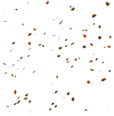 Pin On Png