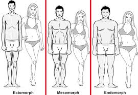 does your body type matter bentrained