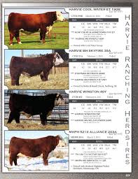 Maisiess 019 | maisie a. Harvie Ranching 7th Annual Bull Sale By Bohrson Marketing Services Ltd Issuu