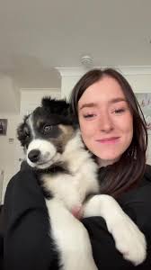 Teagan Mitchell (@teagan_mitchell)’s videos with original sound