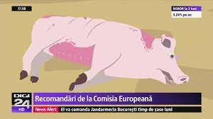 Pestă porcină africană sau boala lui montgomery (lat pestis africana suum; Tot Ce Trebuie SÄ Ètii Despre Pesta PorcinÄ