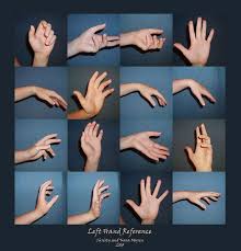 Left Hand Reference By Windsweptsummer On Deviantart Hand Reference Hand Drawing Reference Anatomy Reference