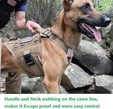 Amazon.com : Service Dog in Training Vest, Service Dog Harness, Service Dog  Vest for Large Dogs Breed, Large Tactical Dog Harness with Service Dog  Patches : Pet Supplies