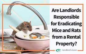 Are Landlords Responsible For Eradicating Mice And Rats From A Rental Property Landlord Insider