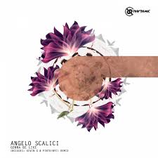 Flowers by nancy is located at united states of america, state of west virginia, raleigh county. Kevin G Music Download Beatport