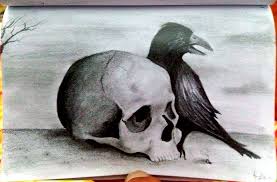 Teschio Con Corvo Disegno A Matita Disegni Disegni A Matita Corvo
