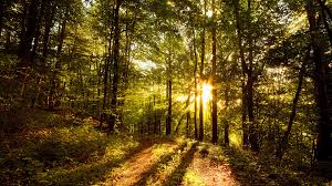 Image result for best images in the world