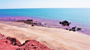 Check spelling or type a new query. Twenty Awesome Things To Do In Iran Travels Of A Bookpacker Iran Travel Red Beach Rainbow Island