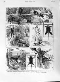 Image result for HUNTING AS A PASTIME BRITISH INDIA