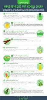17 Amazing Home Remedies For Kennel Cough Home Remedy For Cough Cold Home Remedies Cough Remedies