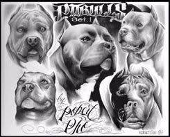 Tattoos Of Pitbulls Pitbull Art Pitbull Drawing Pitbull Tattoo
