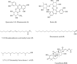 Image result for Kedrostis foetidissima