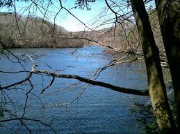 We did not find results for: Paugussett State Forest Wikipedia