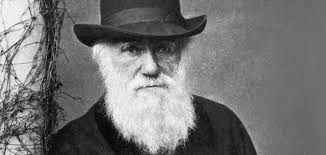 The Evolution Of Evolution: How Modern Science Has Built On Darwin's  Original Theory