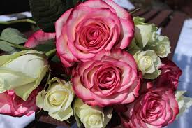Order birthday flowers for your wife and choose lovely red roses or cute carnations or honest orchids. 10 Kinds Of Flowers You Can Give Your Wife On Her Birthday