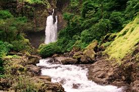 বর্ষা গন্তব্য: মহারাষ্ট্রের সাঙ্গামেশ্বর রিমজিম রেইন -এ অন্বেষণ করুন, উইকএন্ডে ঘোরাঘুরির পরিকল্পনা করুন