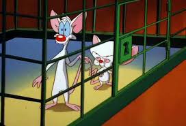No laboratory, alone in the rain. Pinky And The Brain S3e5 Where The Deer And The Mousealopes Play Video Dailymotion