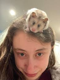 Hello, I am 18 in January and looking to make a bit of money at a very  reasonable rate doing something I love but mostly to build up experience as  I am