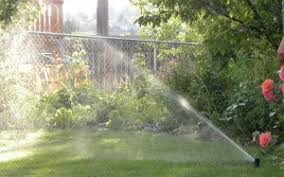 Most lawns need 1 to 1.5 inches of water per week—either from rain or watering—to soak the soil that deeply. Missoula Lawn Watering Tips Sprinkler Maniac